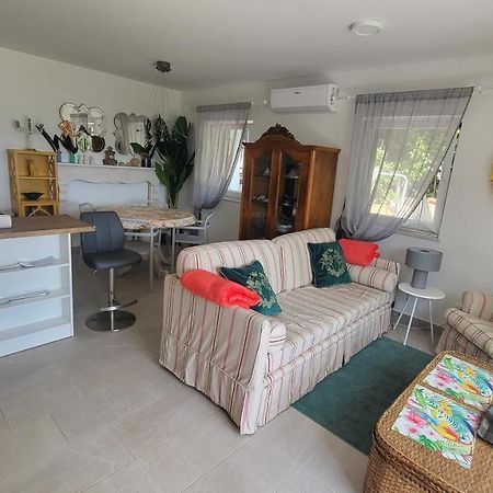 נובי ווינודולסקי Apartments Amadea מראה חיצוני תמונה